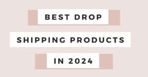 Read more about the article 150+ Dropshipping Products To Sell for Profit (2024)